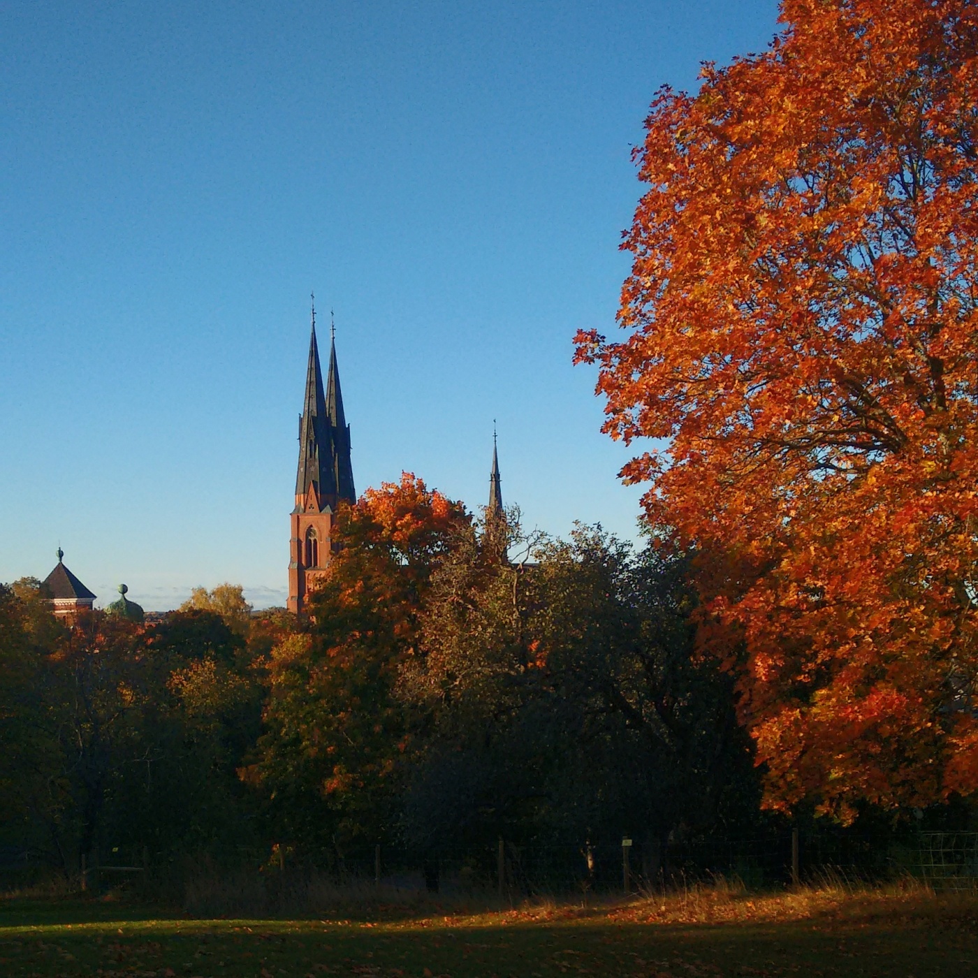 Uppsala; fall; blue sky; cathedral; domkyrka; höst