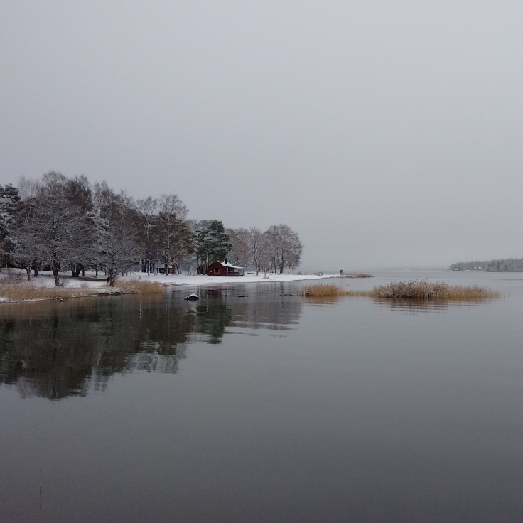 Östhammar; winter; sea; stillness; red cabin; grey;